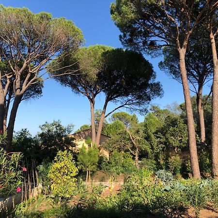 Sous Les Pins Parasols فيداوبان المظهر الخارجي الصورة