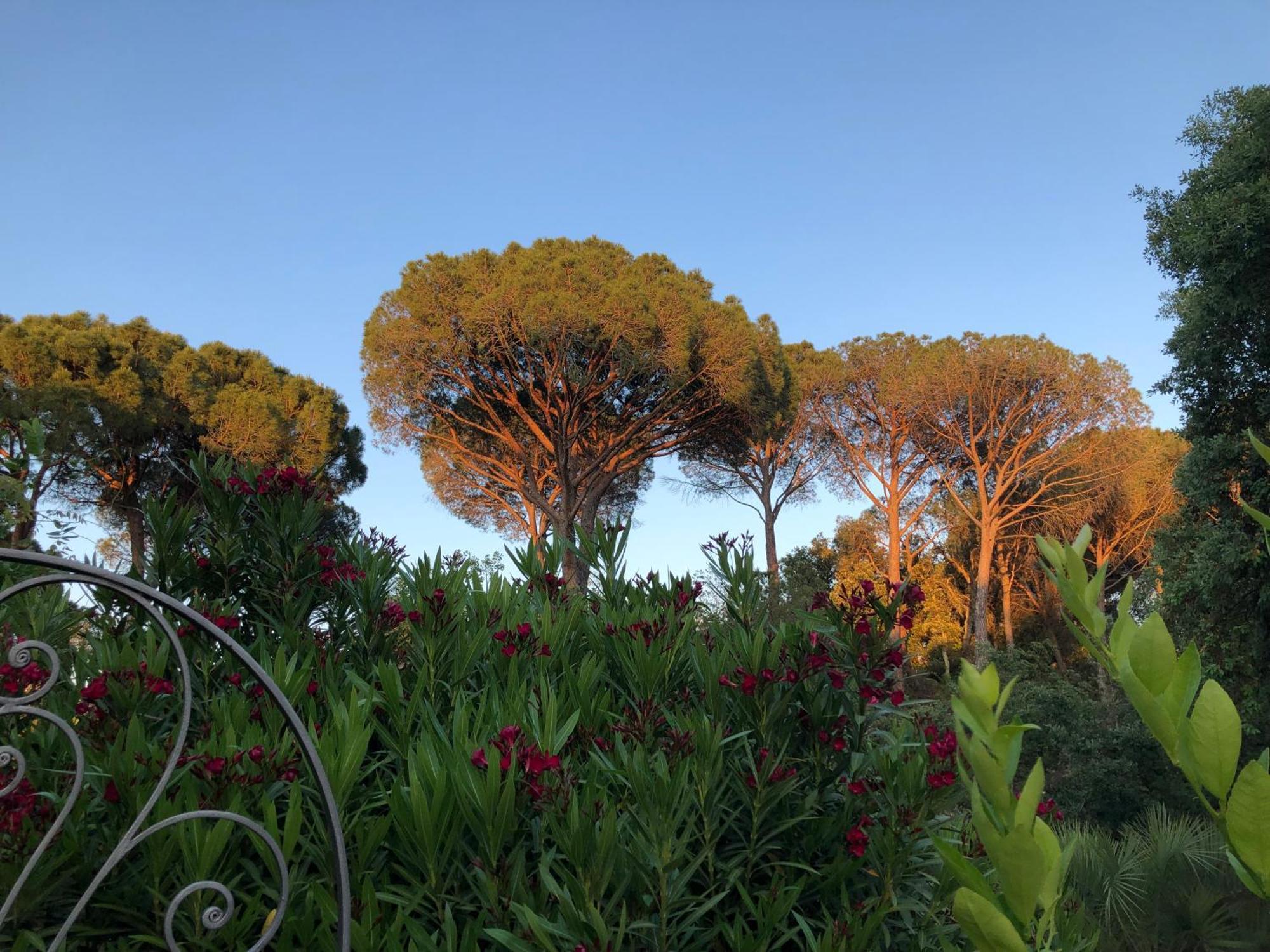 Sous Les Pins Parasols فيداوبان المظهر الخارجي الصورة