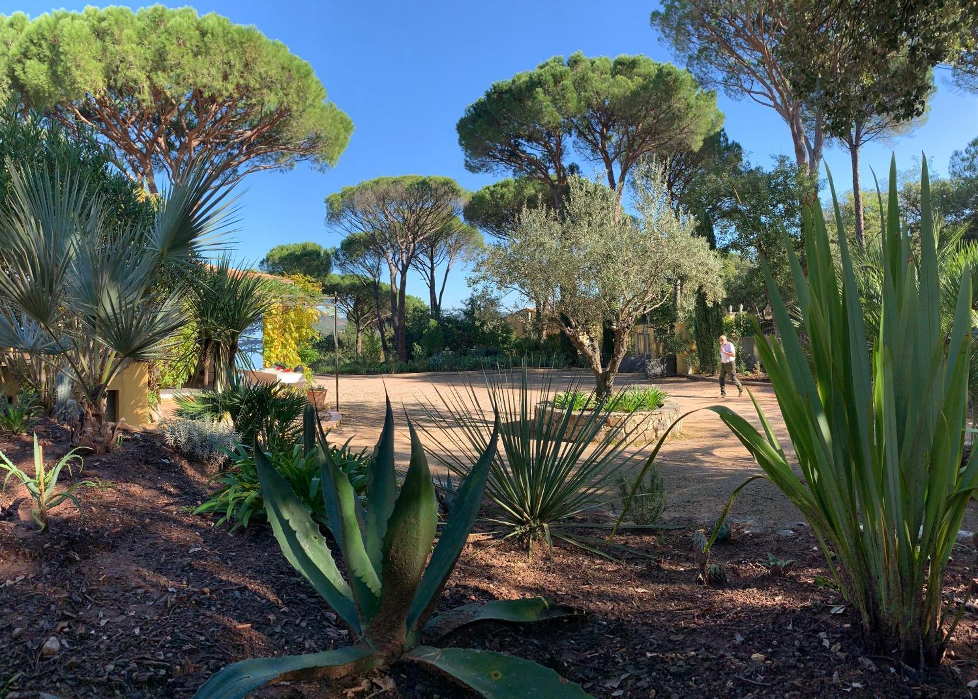 Sous Les Pins Parasols فيداوبان المظهر الخارجي الصورة